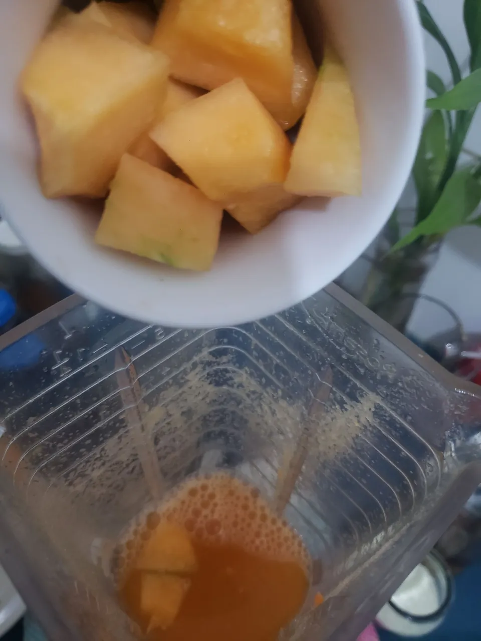 20250523_114846.jpg