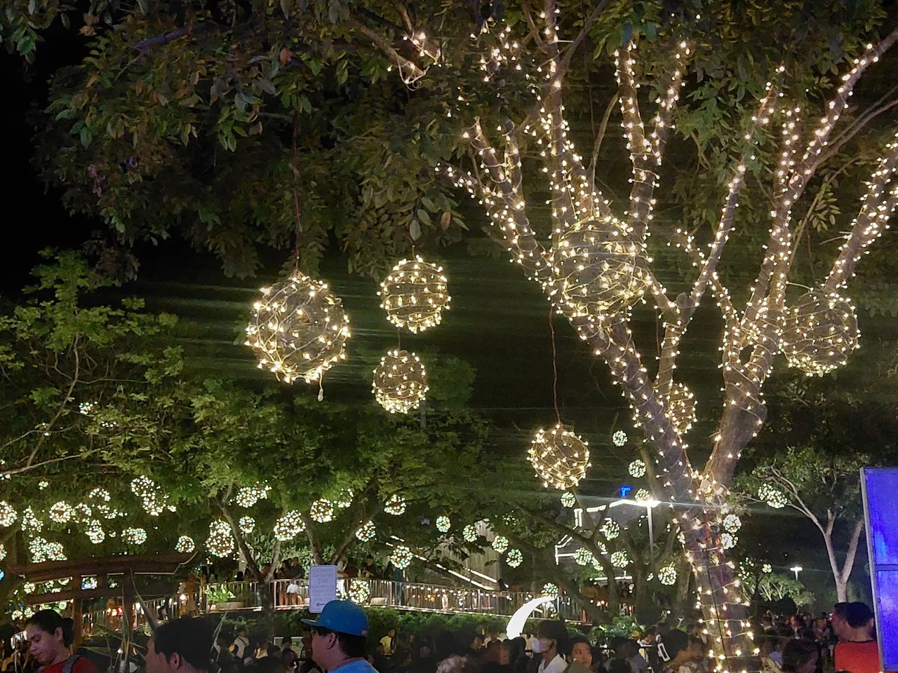 20231208_202133.jpg