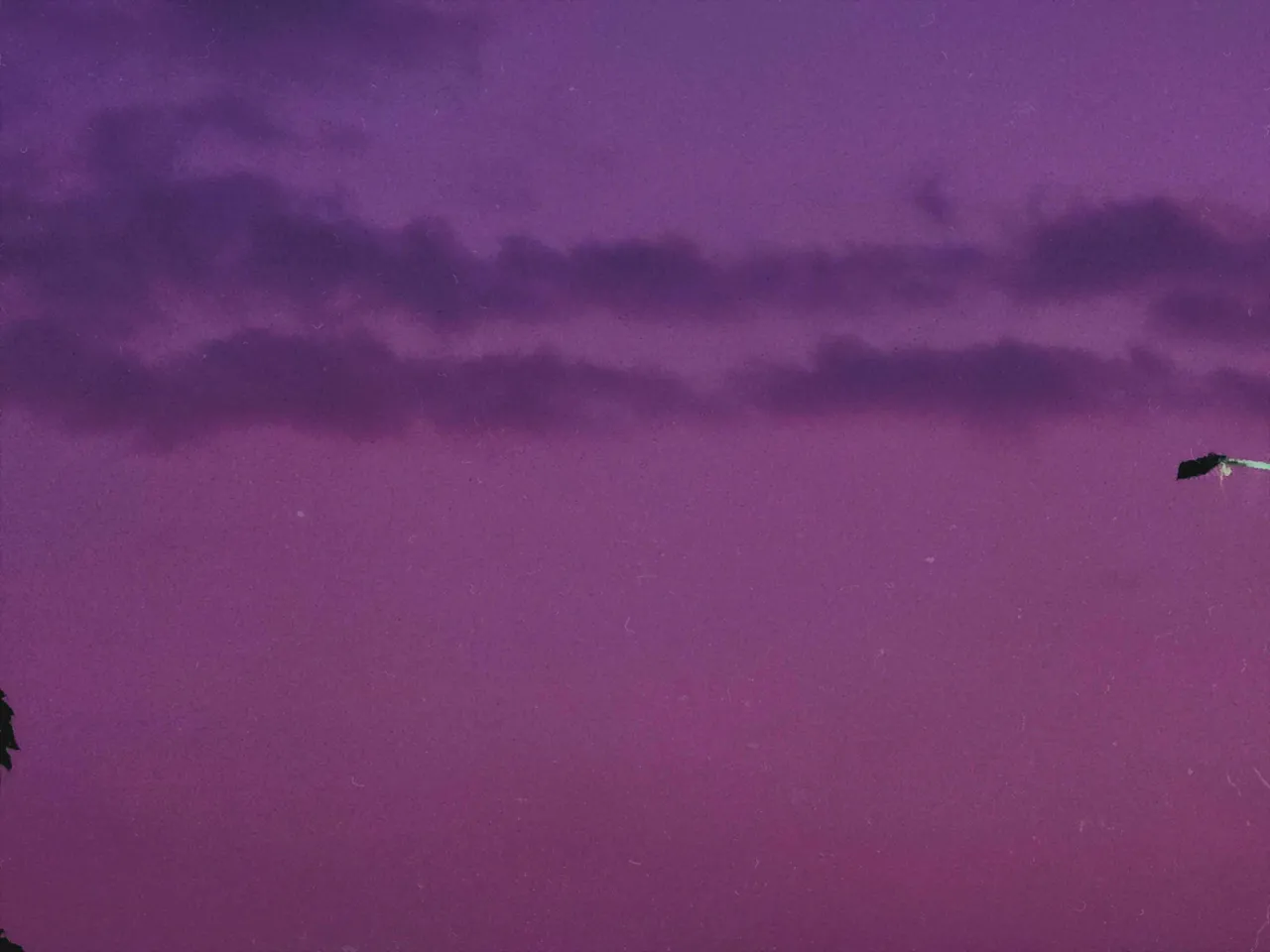 1000042790.jpg