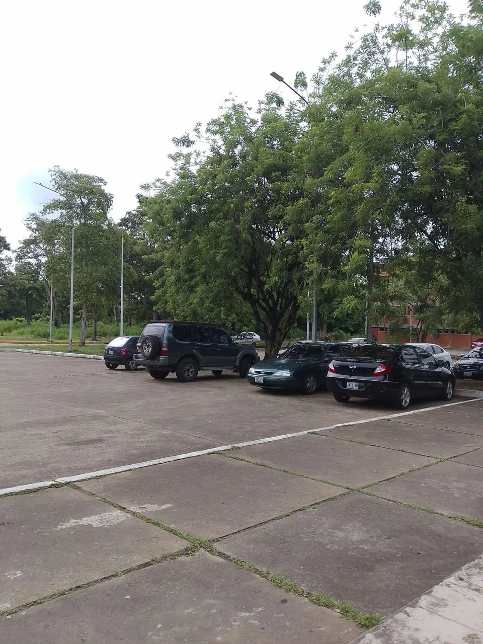 1000071642.jpg