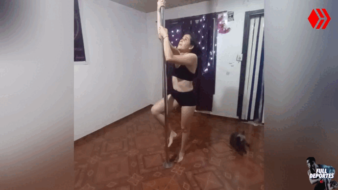 Gif Pol Dance.gif