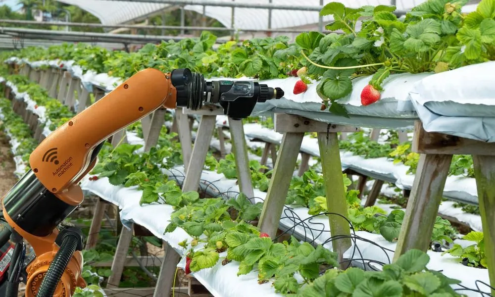 "Opinion-Edible-AI-The-Future-of-Food-is-Up-to-Tech.jpg"