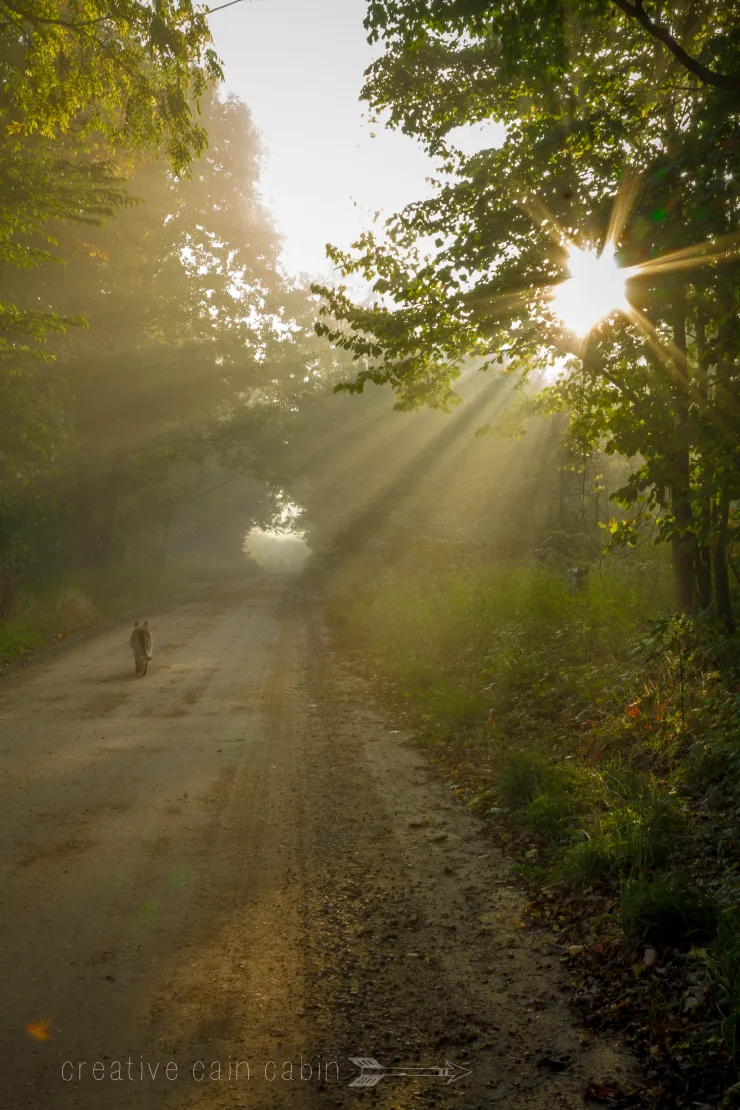 A Morning's Walk - CREATIVE CAIN CABIN.png