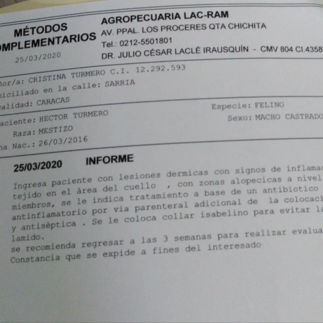 nuittercristina13-nuittercristina13-15914067494223.jpg