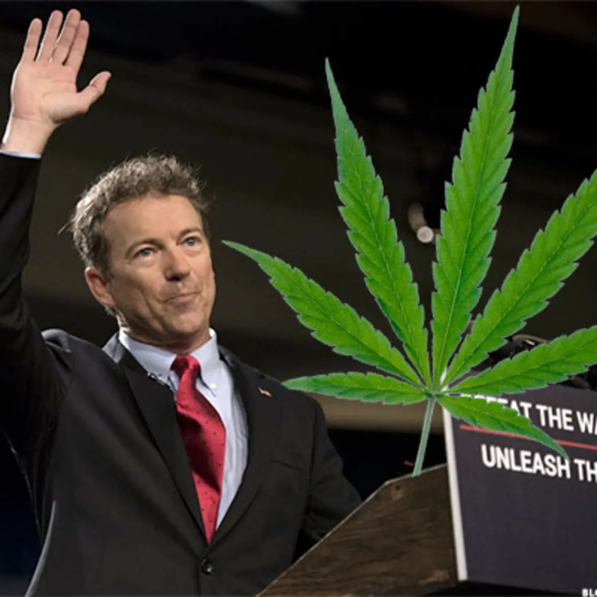 3-pot-stocks-to-buy-if-rand-paul-becomes-president.jpg