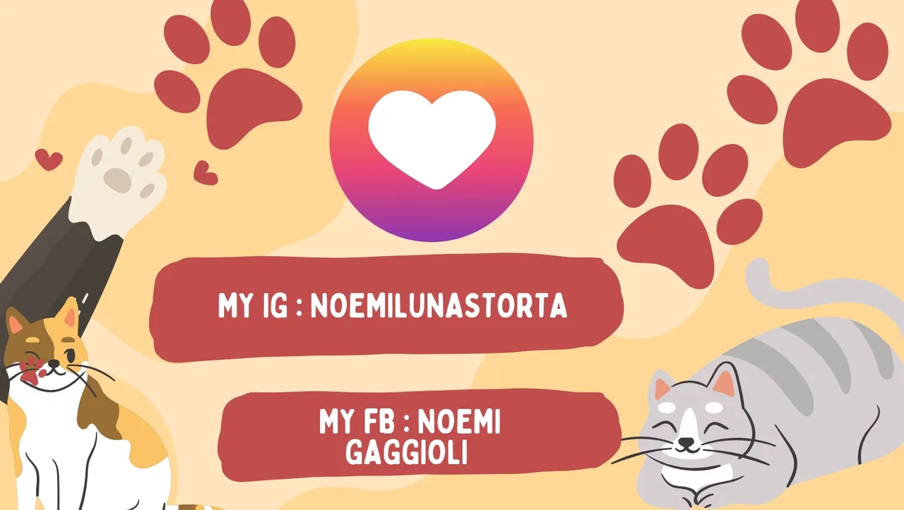My IG _ noemilunastorta_20250130_220124_0000.jpg