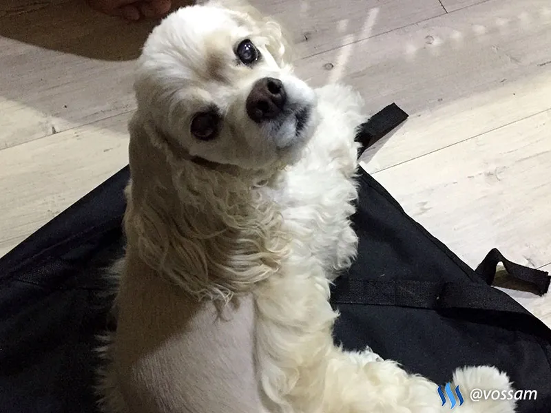 2018_0223_네오윔크_05.jpg
