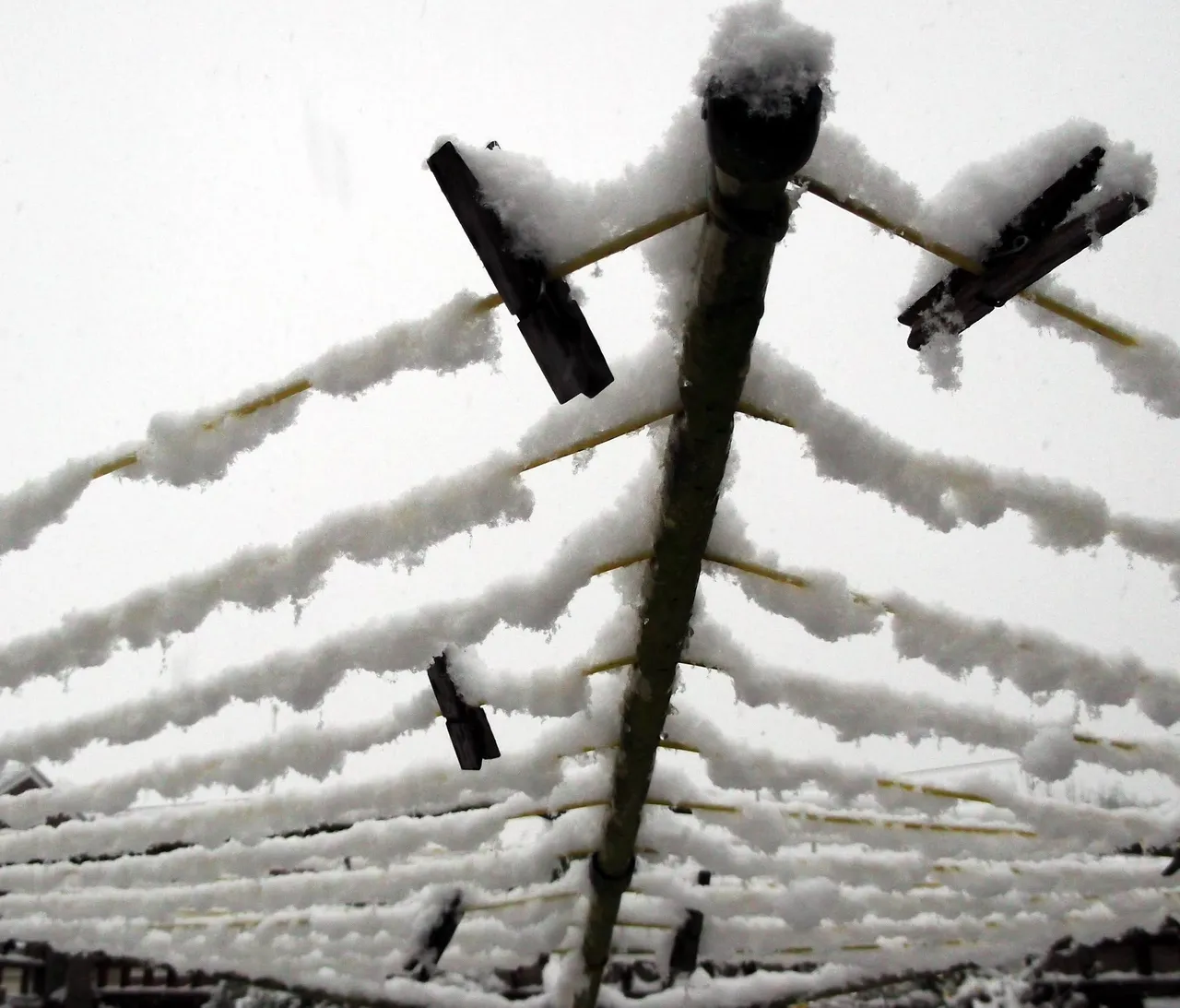 snow covered clothes line cobweb shaped.jpg