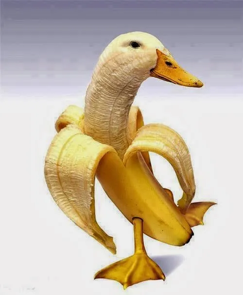 Funny Amazing Banana Art And Creativity.jpg