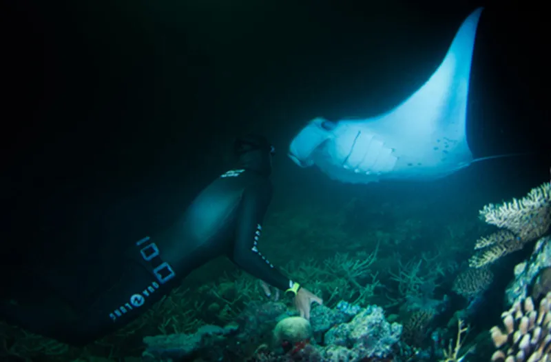 free-diving-scuba-workshop-miguel-lozano-maldives.jpg