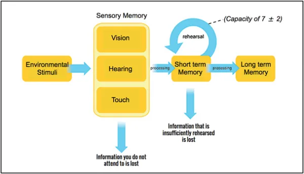 Long-term-and-short-term-memory-formation-600x344.jpg