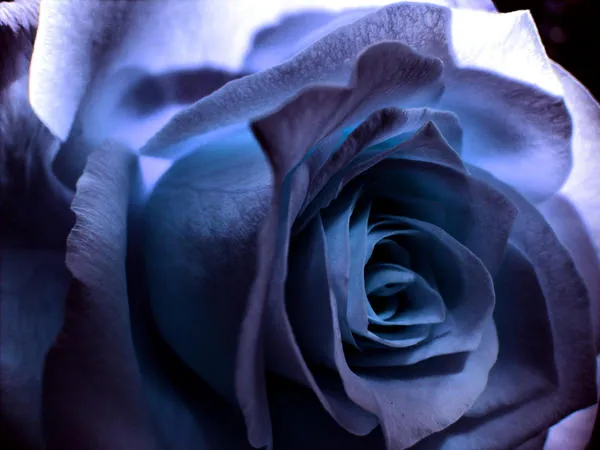 Flower macro
