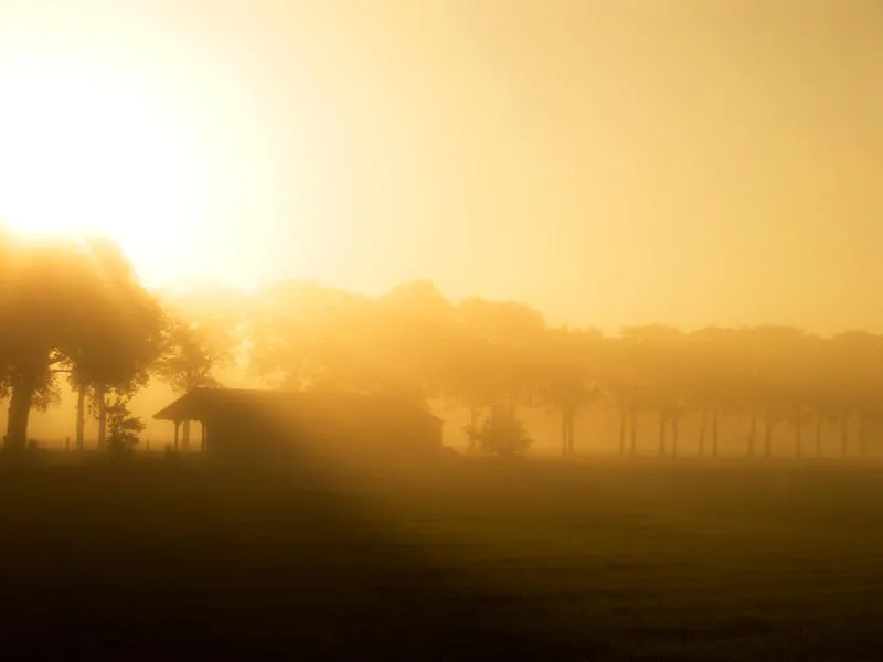 Barn morning light