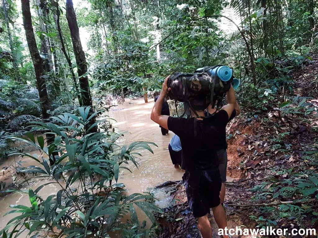 Ya pas un hélico pour rentrer ? - Taman Negara - Malaisie