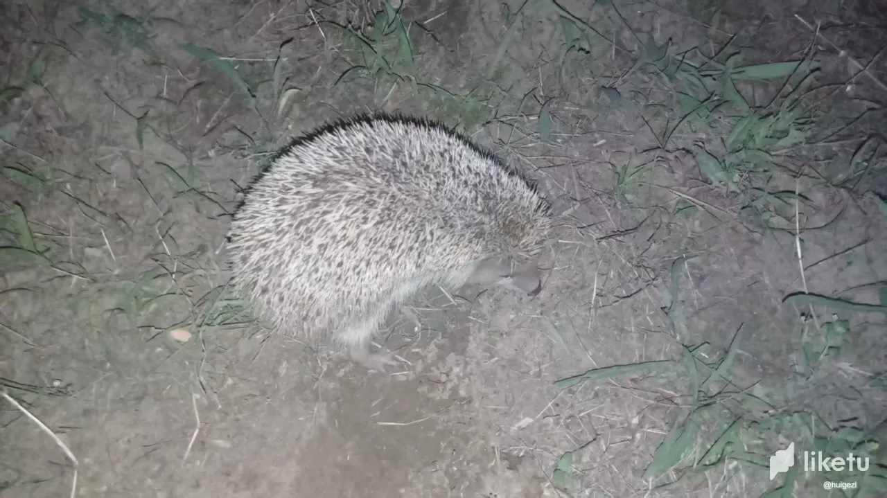 LStXSzvKQZ9RIZoV_2.webp