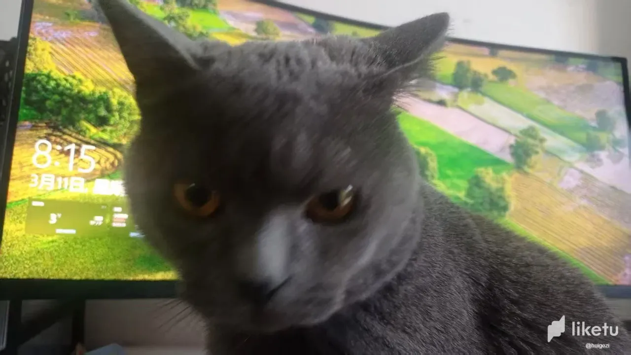 XjkcCvxjCCciRGKF_1.webp