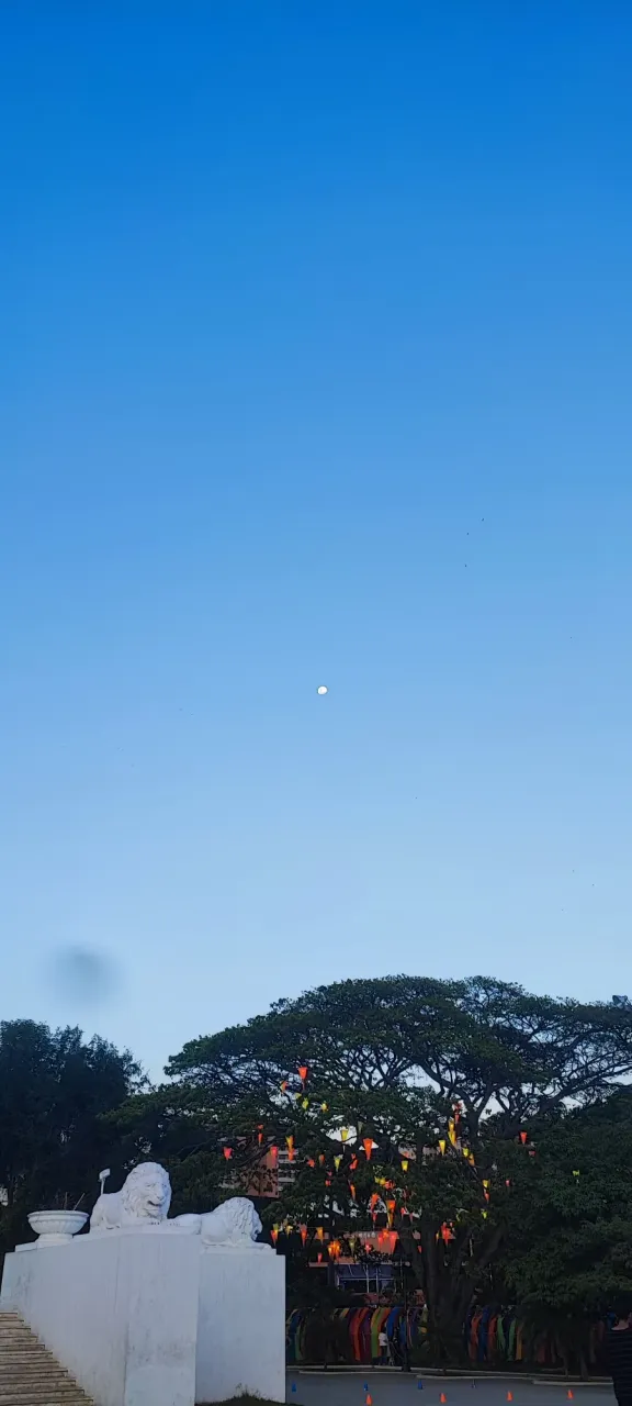ZshCagm412kIA94A_2.webp