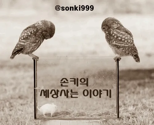 BIRD.jpg