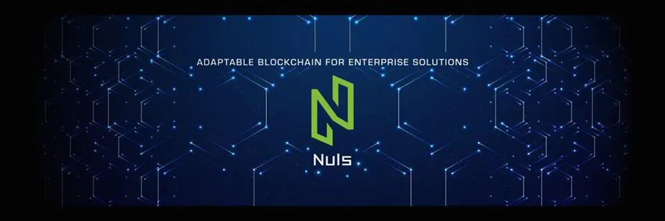 nuls.jpg