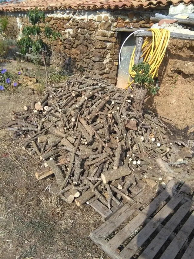 wood.jpg
