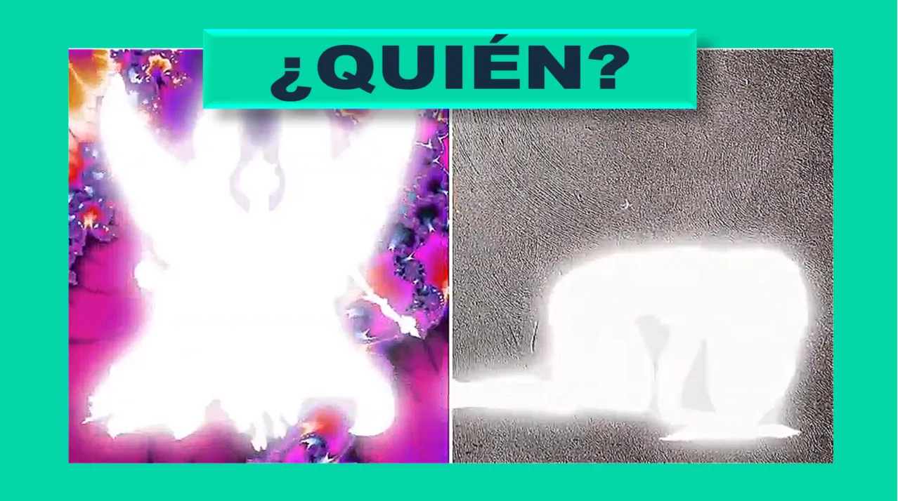 anim.png