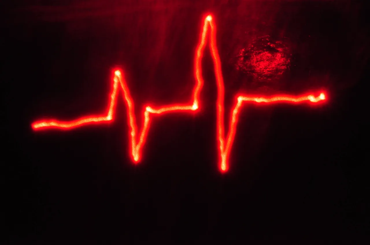 puls.JPG