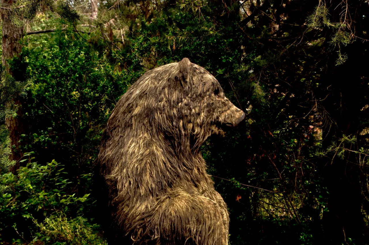 Orso.jpg