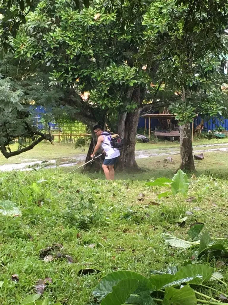 ady.jpeg