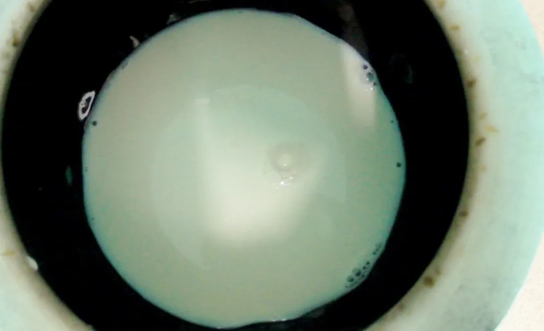 Milk.jpg