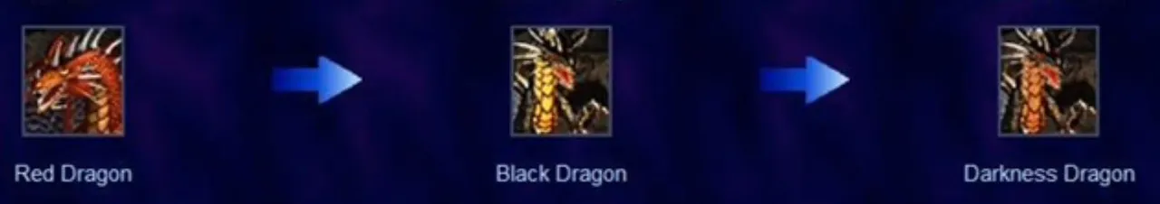 new3.JPG