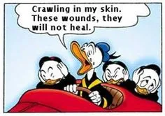duck.jpg