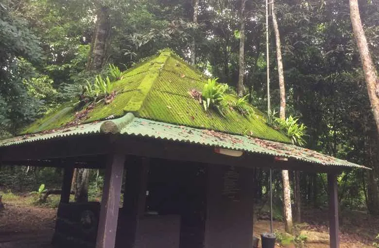 roof.jpg