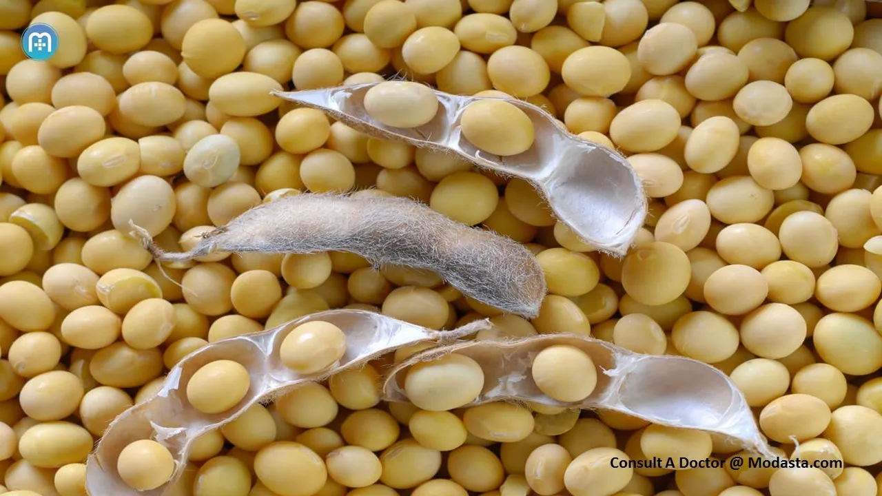 soya.jpg