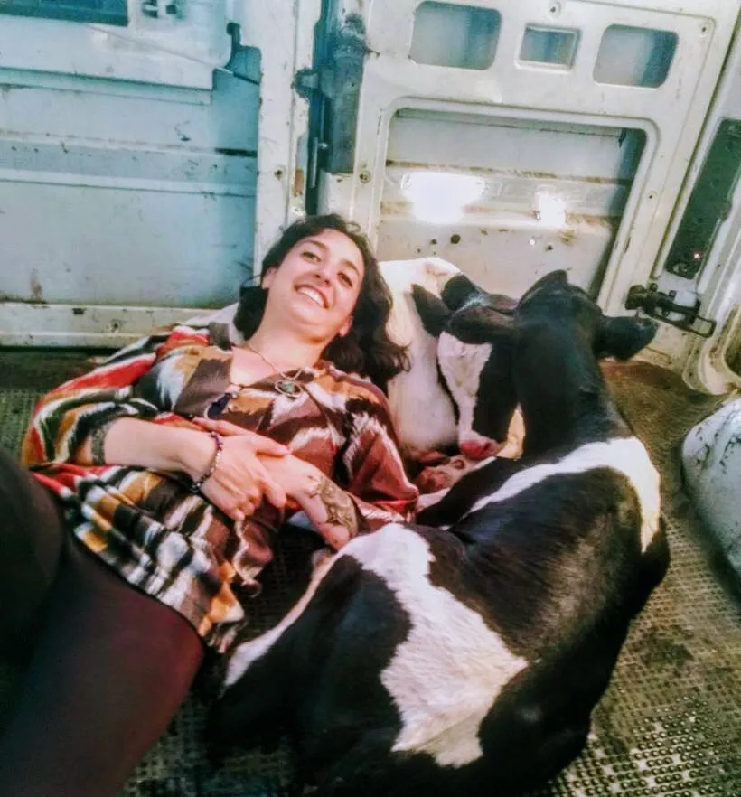vaca.jpg