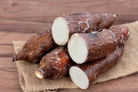 yuca.jpg