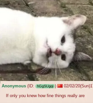 pets.jpg