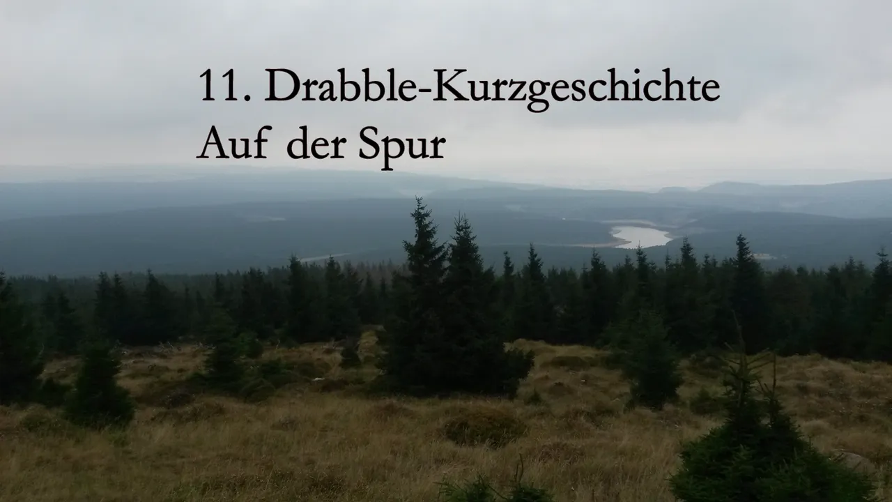 Bild.jpg