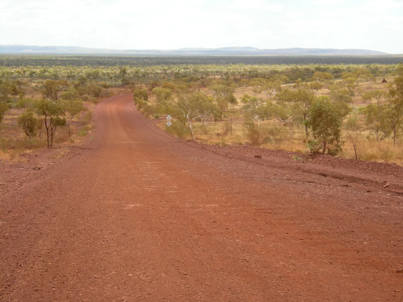 C009.JPG