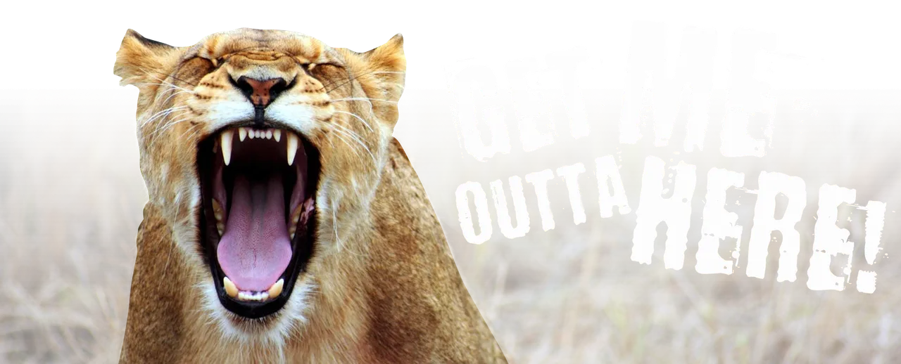 roar.png