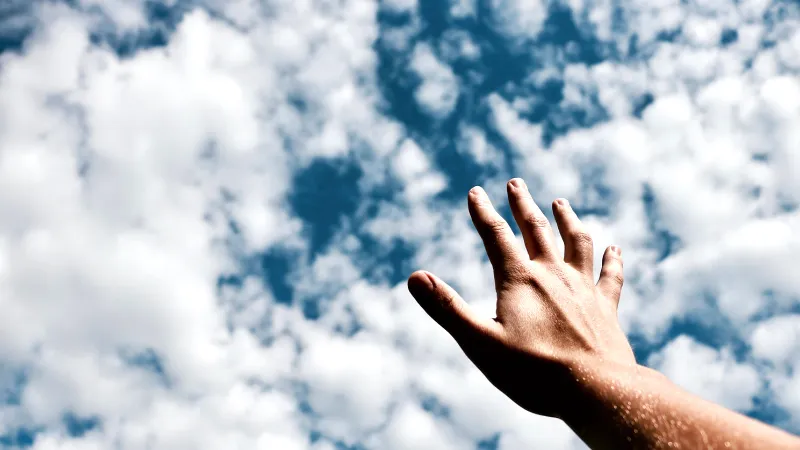 hand.jpg