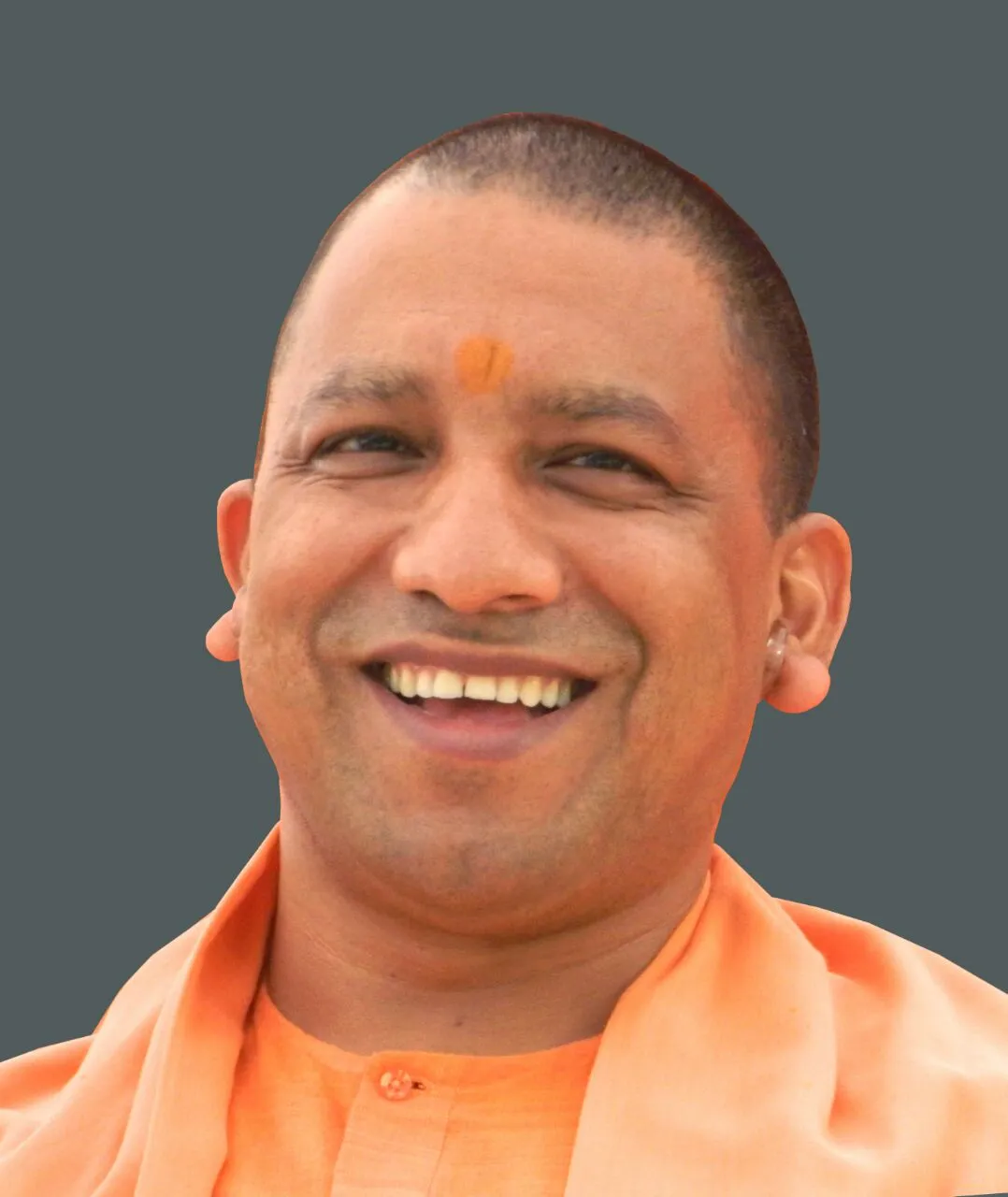 yogi.jpg