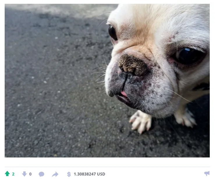 test.png