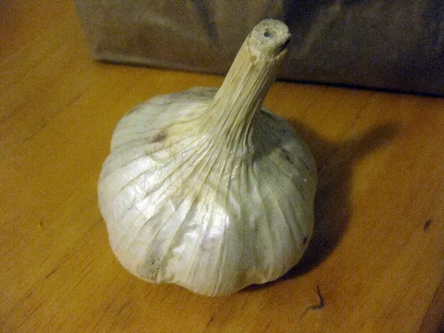 gar6.JPG