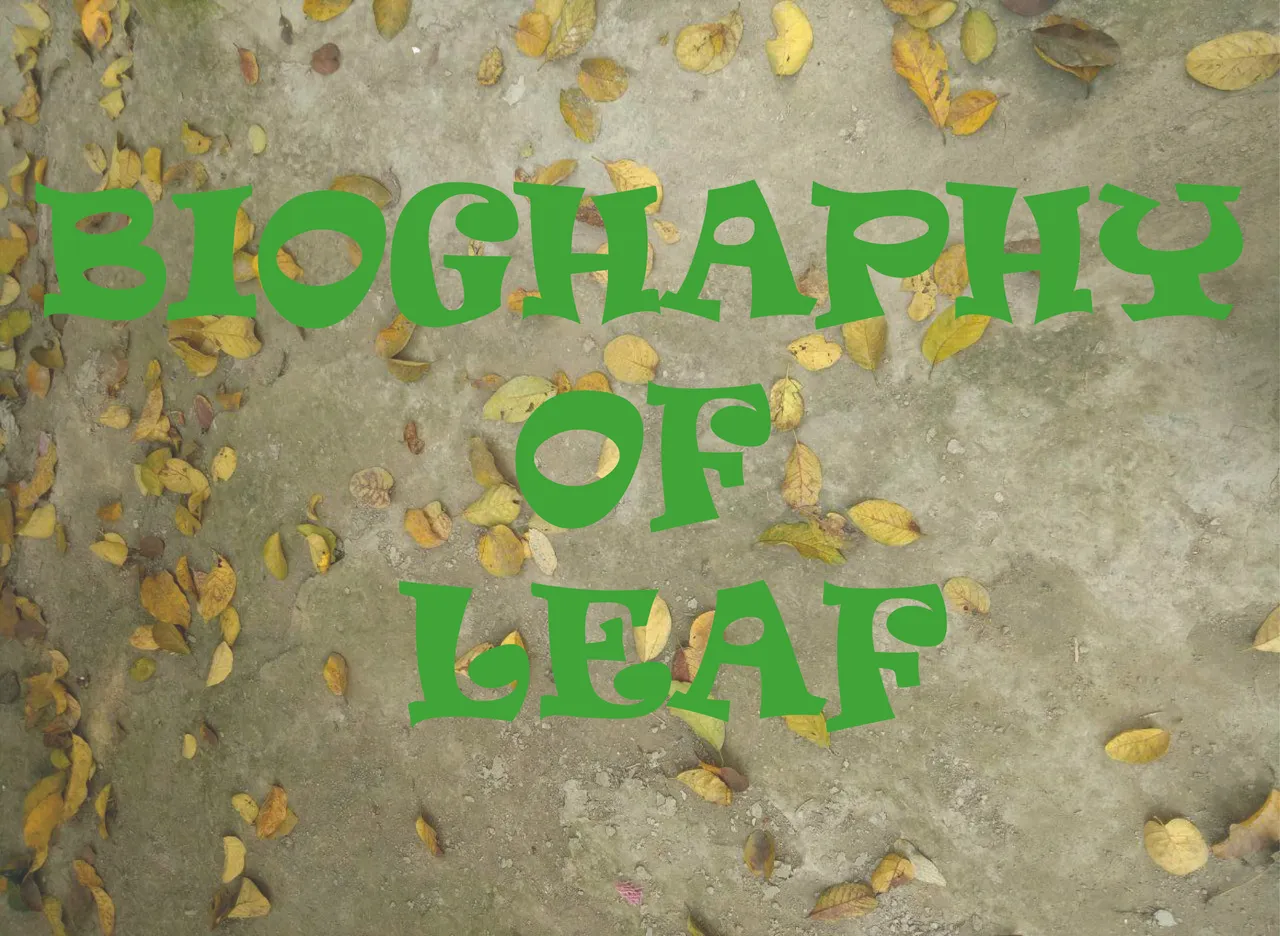 lEAF.jpg