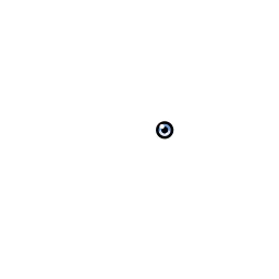 eye_.png