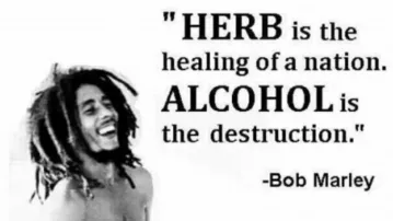 bobm.PNG