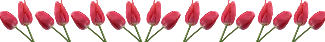 AddText_081407.50.26.png