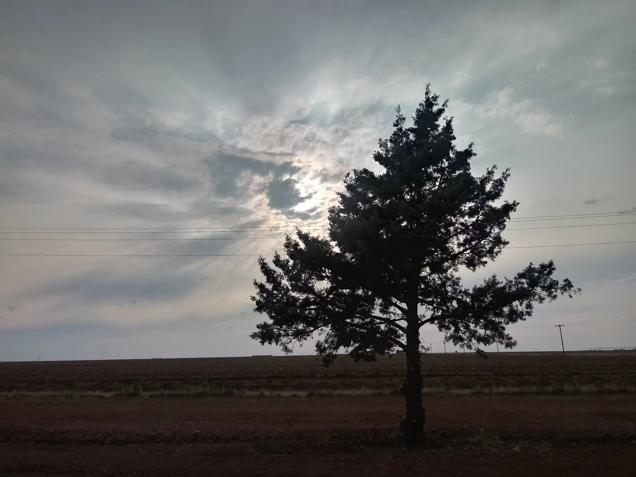 20200913_183535_HDR.jpg