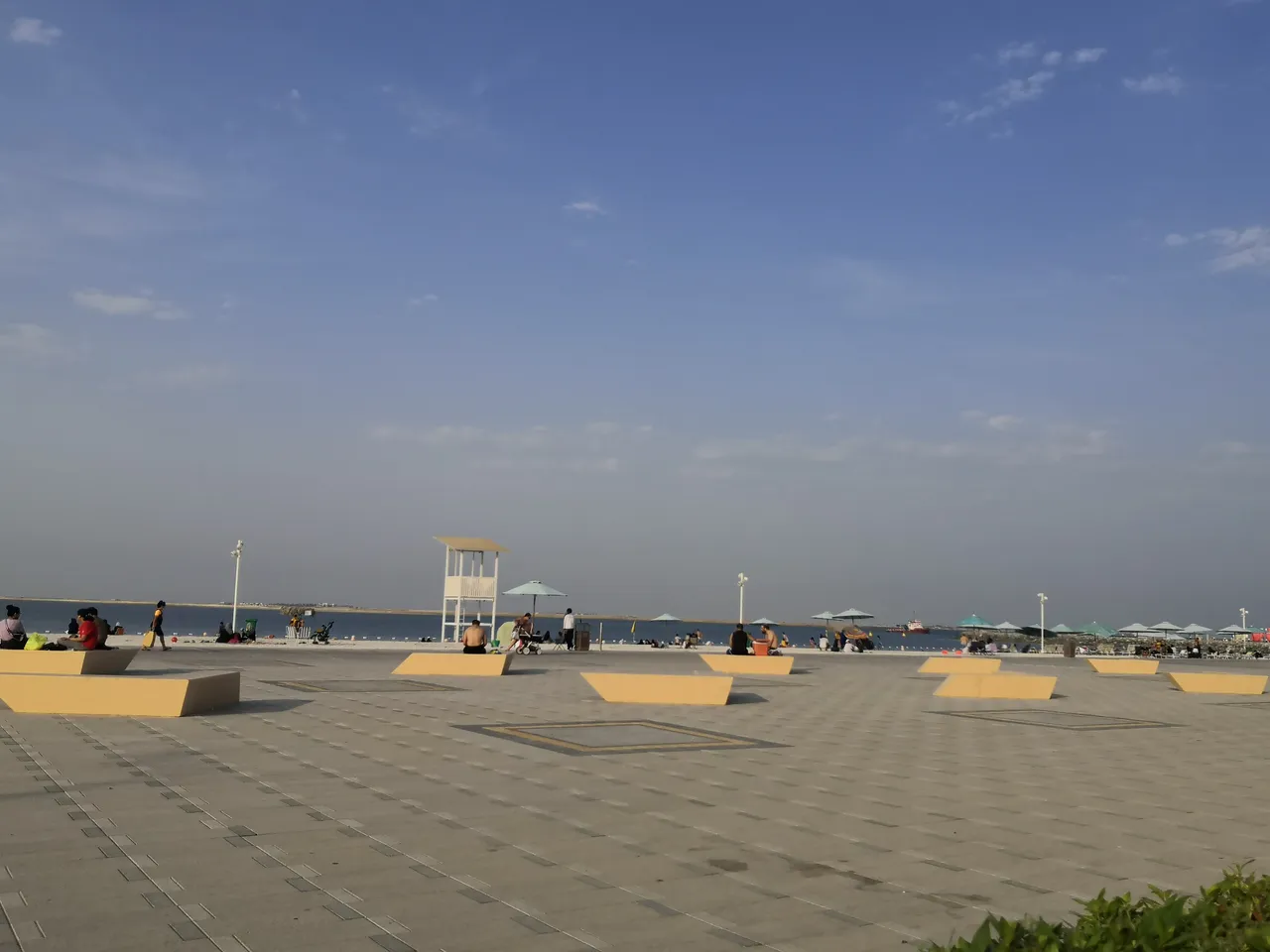 IMG_20200814_0715221.jpg