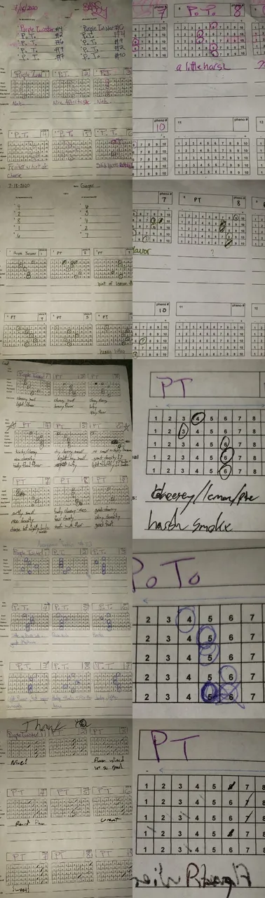 TILEJUDGE_FORMS_COMBO2.jpg
